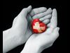 heart in hands