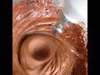 Chocolate Mousse