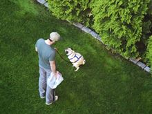 Man Cleaning Up After Dog