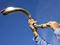 Blowing a Shofar