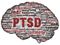PTSD Brain