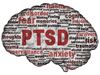 PTSD Brain