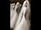 Bride's image going off into infinity