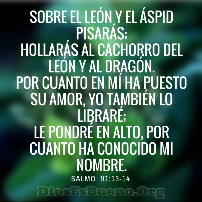 Dir&eacute; yo a Jehov&aacute;: Esperanza m&iacute;