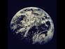 10 Tips to Be a Better Eco-Citizen