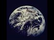 10 Tips to Be a Better Eco-Citizen