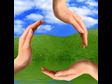Spread the Vision for the Environment