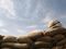 Healing Lessons from a War Zone