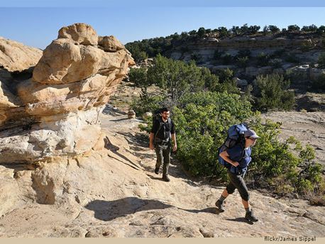 Couple Hiking / Wiki