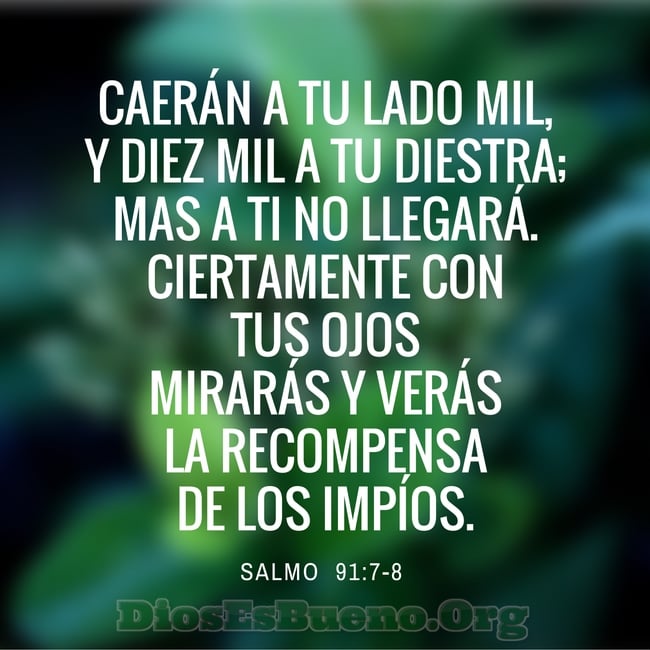 Dir&eacute; yo a Jehov&aacute;: Esperanza m&iacute;