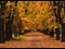 fall pic
