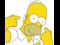homer denial
