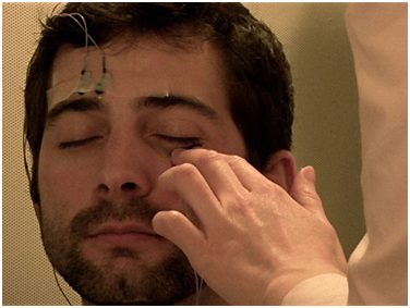 Free Your Mind by Seeing "Free the Mind"