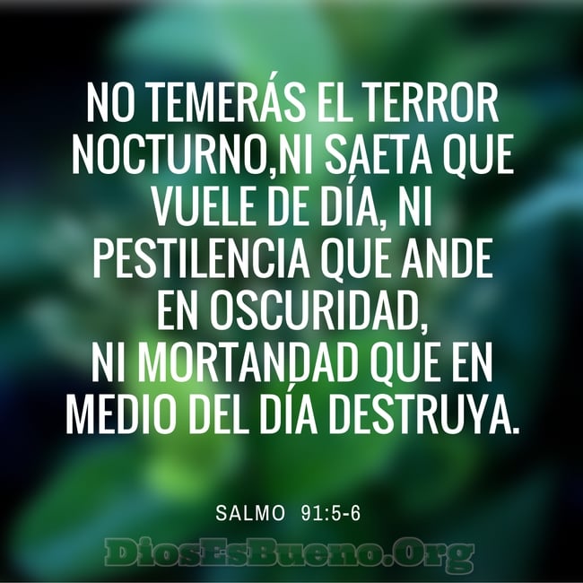 Dir&eacute; yo a Jehov&aacute;: Esperanza m&iacute;