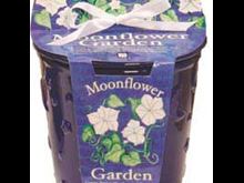 Moonflower Cache Plot