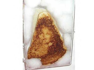 Virgin Mary Grilled Cheese