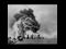USS BUNKER HILL 