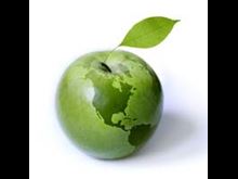 10 Earth-Friendly Ideas