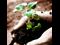 10 Ways to Grow