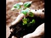 10 Ways to Grow