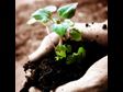 10 Ways to Grow