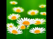 Healing Prayers for Infertility pregnant fertility