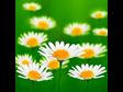 Healing Prayers for Infertility pregnant fertility