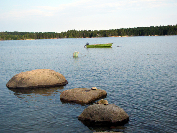 Slide Image