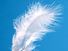 Signs from Angels