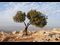 israel 2