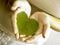 Woman's hands holding heart-shaped leaf