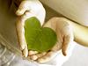 Woman's hands holding heart-shaped leaf