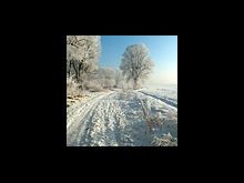 Tip #1: Go for a Winter Walk