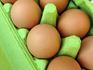 Carton of Brown Eggs