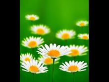 10 Ways to Simplify Your Life