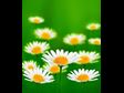 10 Ways to Simplify Your Life