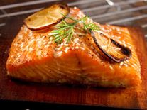 Salmon