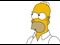 homer questioning
