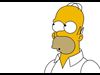 homer questioning