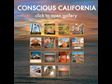 Conscious California