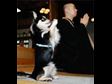 Your Funniest Photos