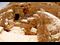 The Tomb of King Herod