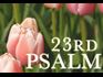 23rd Psalm