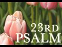 23rd Psalm
