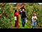 apple picking as a family