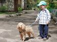 boy walking his dog