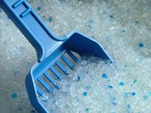 Kitty Litter