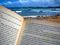 Ocean, Beach, Books, Reading, Relaxation