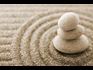 Yoga for Emotional Balance