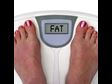 The Best Stay Fat Strategies